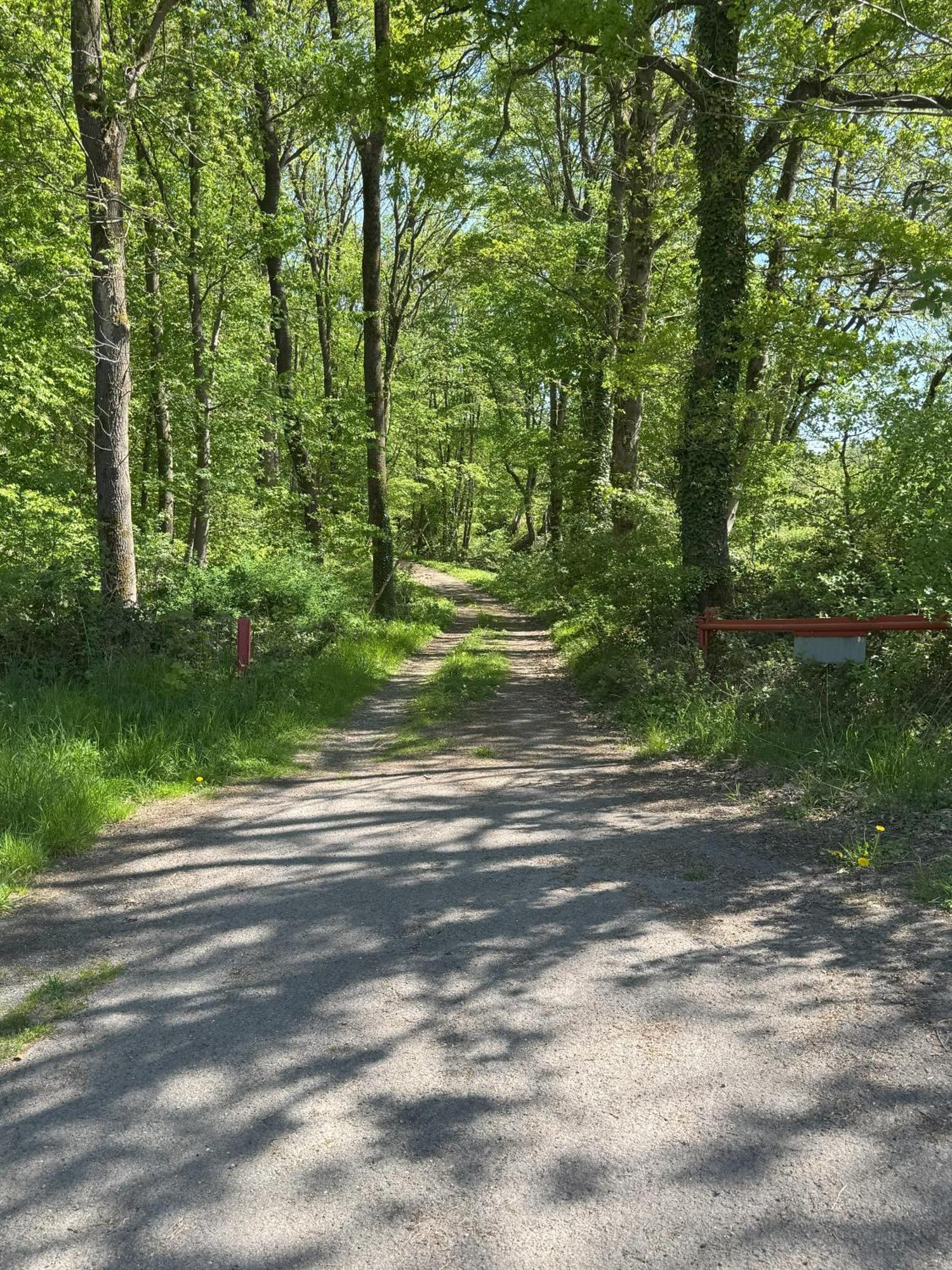Urlaub Im Naturschutzgebiet 데트몰트 외부 사진
